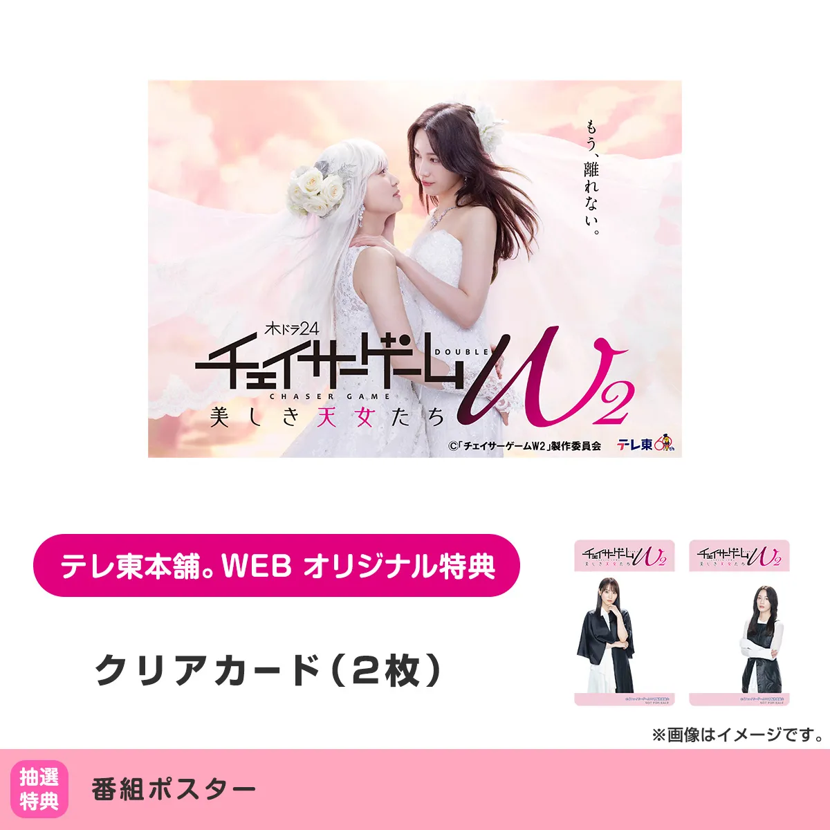 チェイサーゲームW2 美しき天女たち DVD BOX