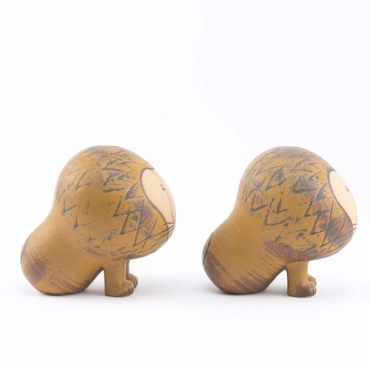 ライオン ミディアム