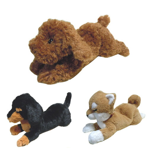 楽天市場】ジェリーキャット ダックスフンド ぬいぐるみ かわいい 犬