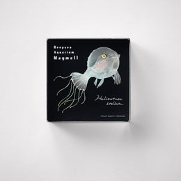 33_260x.jpg?v=1737368549