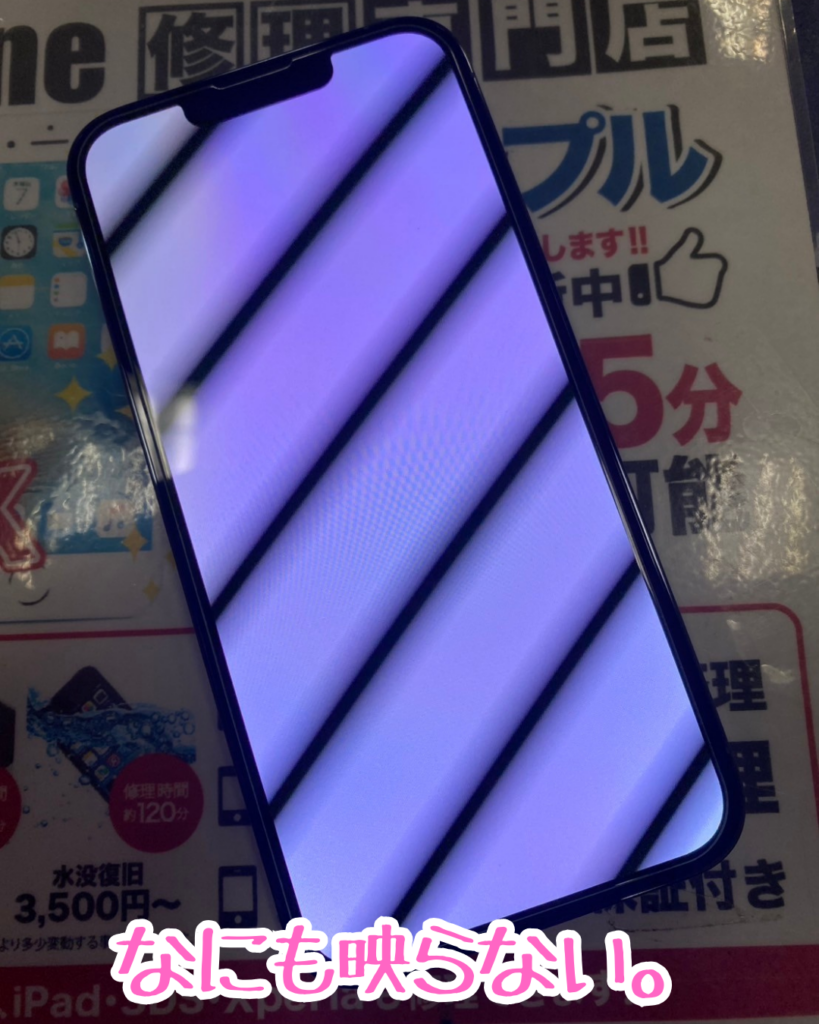 iPhone13 Pro Maxの画面が突然真っ白に！画面交換で無事復旧