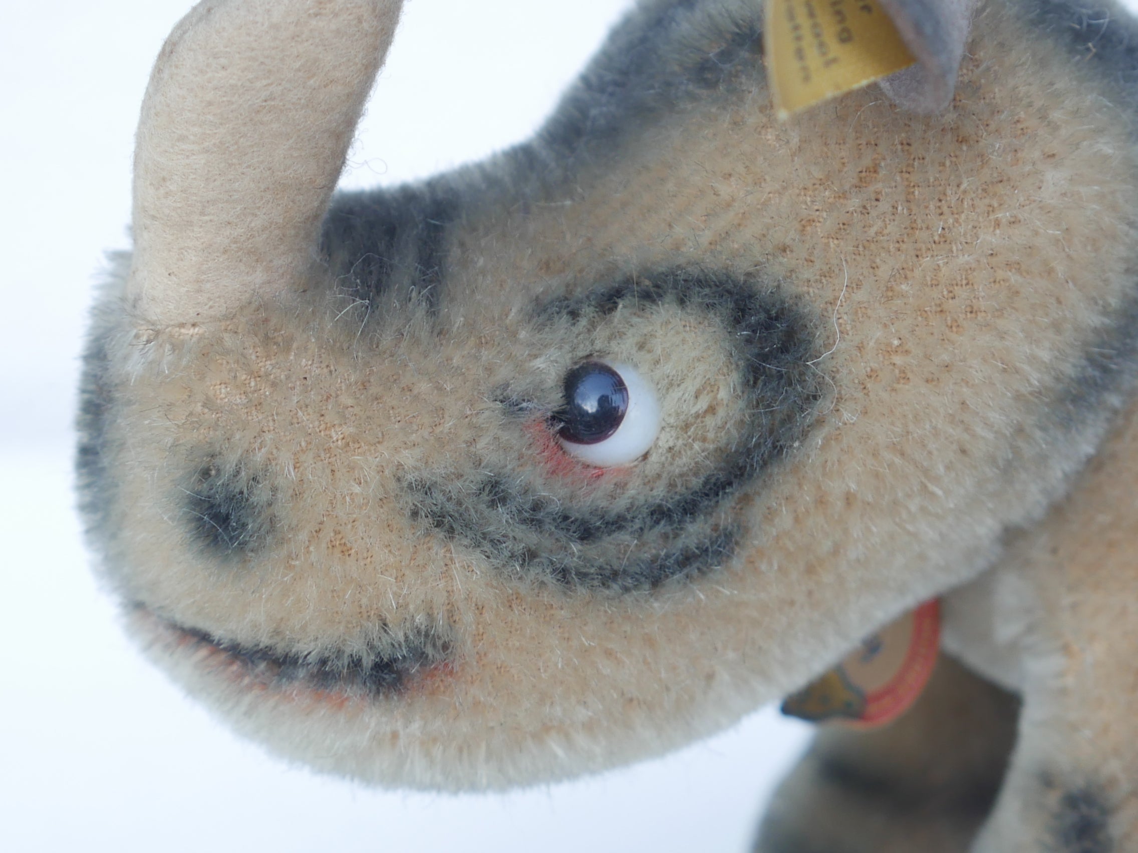 Steiff【Nosy】19cm 1959年～1967年代 ヴィンテージ 黄色タグ シルバー