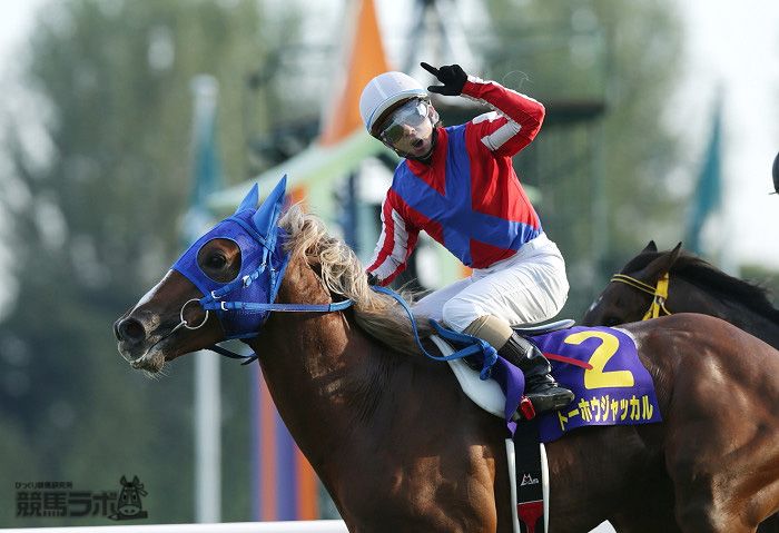菊花賞】トーホウジャッカル超速レコードV！史上最速菊制覇 | 競馬