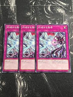 対峙する宿命」の激安通販 | magi