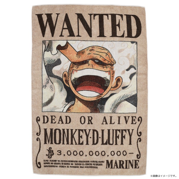 ワンピース】五彩織り ビッグタオル ＜手配書＞: 雑貨｜東映