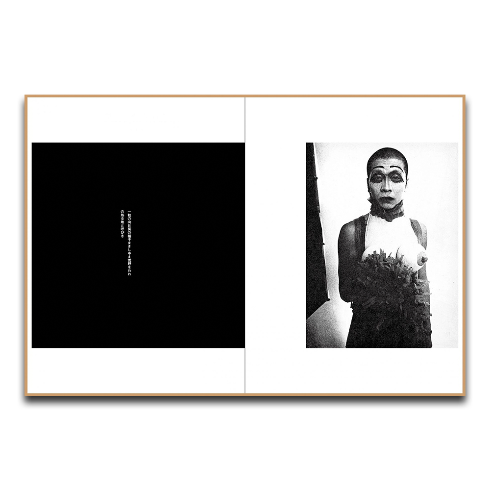 にっぽん劇場写真帖 森山大道 森山大道 -の商品詳細 | 蔦屋書店