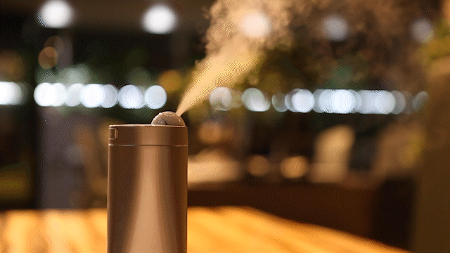 カルテック公式オンラインストア Turnedk Online Store / KL-HM01 目も