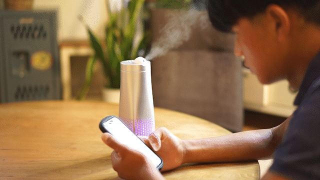 カルテック公式オンラインストア Turnedk Online Store / KL-HM01 目も