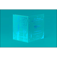 ずっと真夜中でいいのに。 / 本格中華喫茶・愛のペガサス ~羅武の香辛