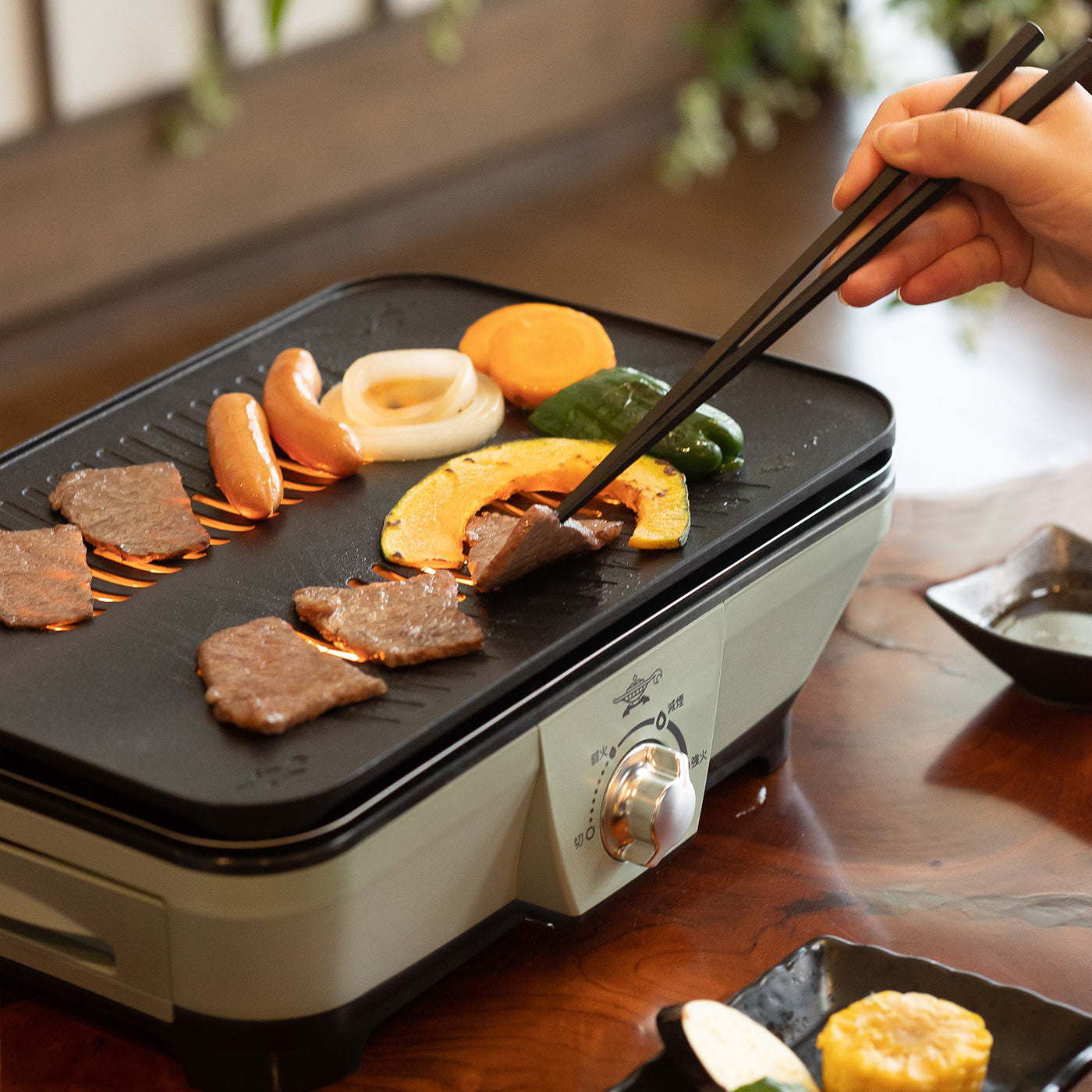 Aladdin(アラジン) グラファイトミニグリラー グリーン CAG-MG7A(G