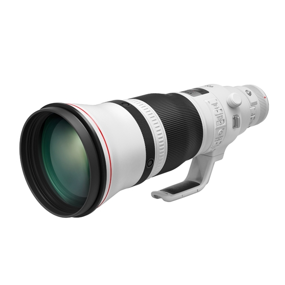 販売終了】EF600mm F4L IS III USM:交換レンズ 通販｜キヤノン