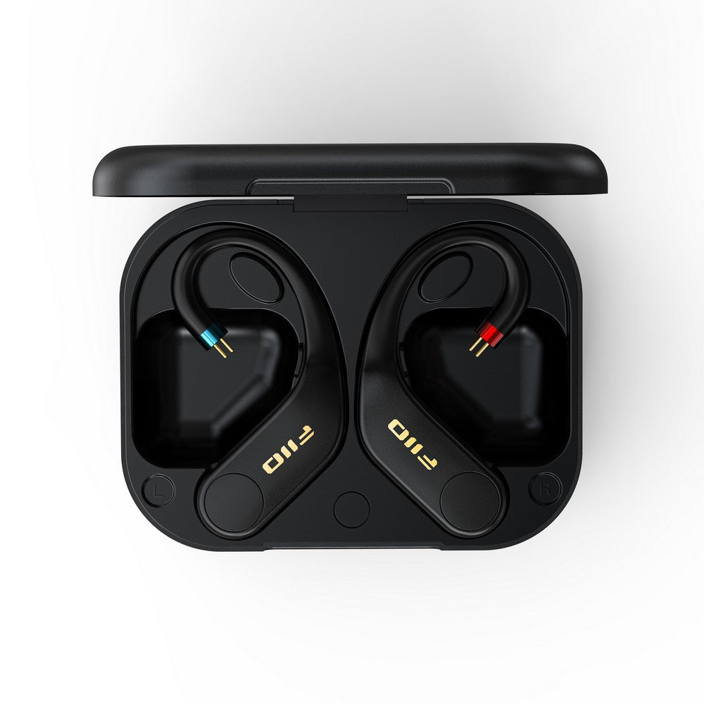 在庫限り】FIIO UTWS5 2025 2PIN FIO-UTWS5-25-2PIN – エミライ