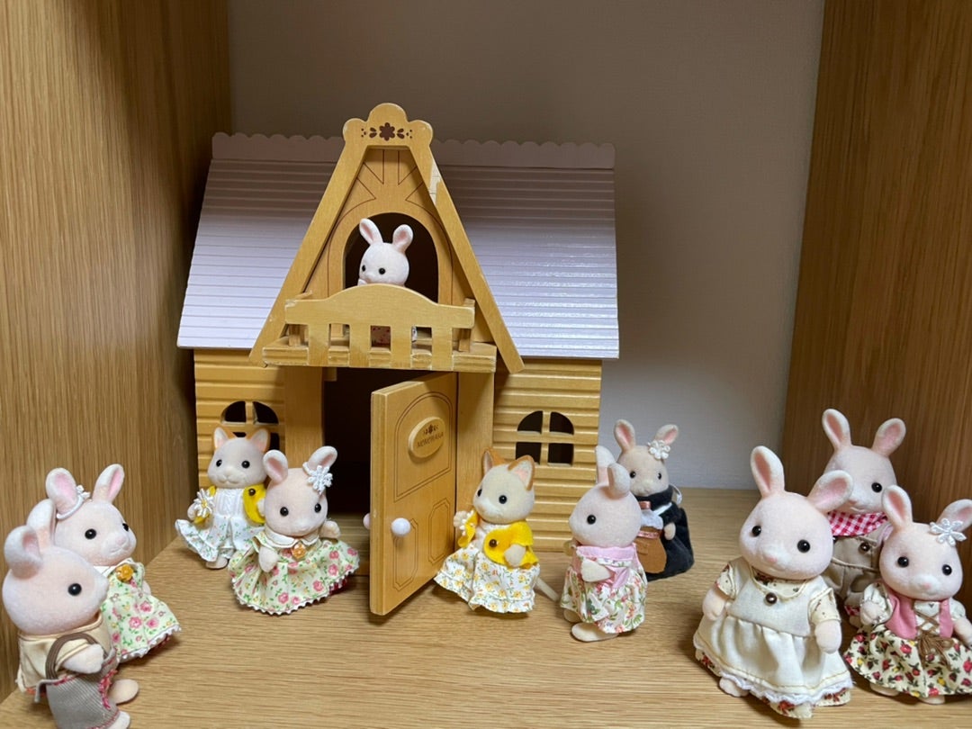ののはなうさぎさんのお家 | 2015年12月出産☆シルバニア始めました。