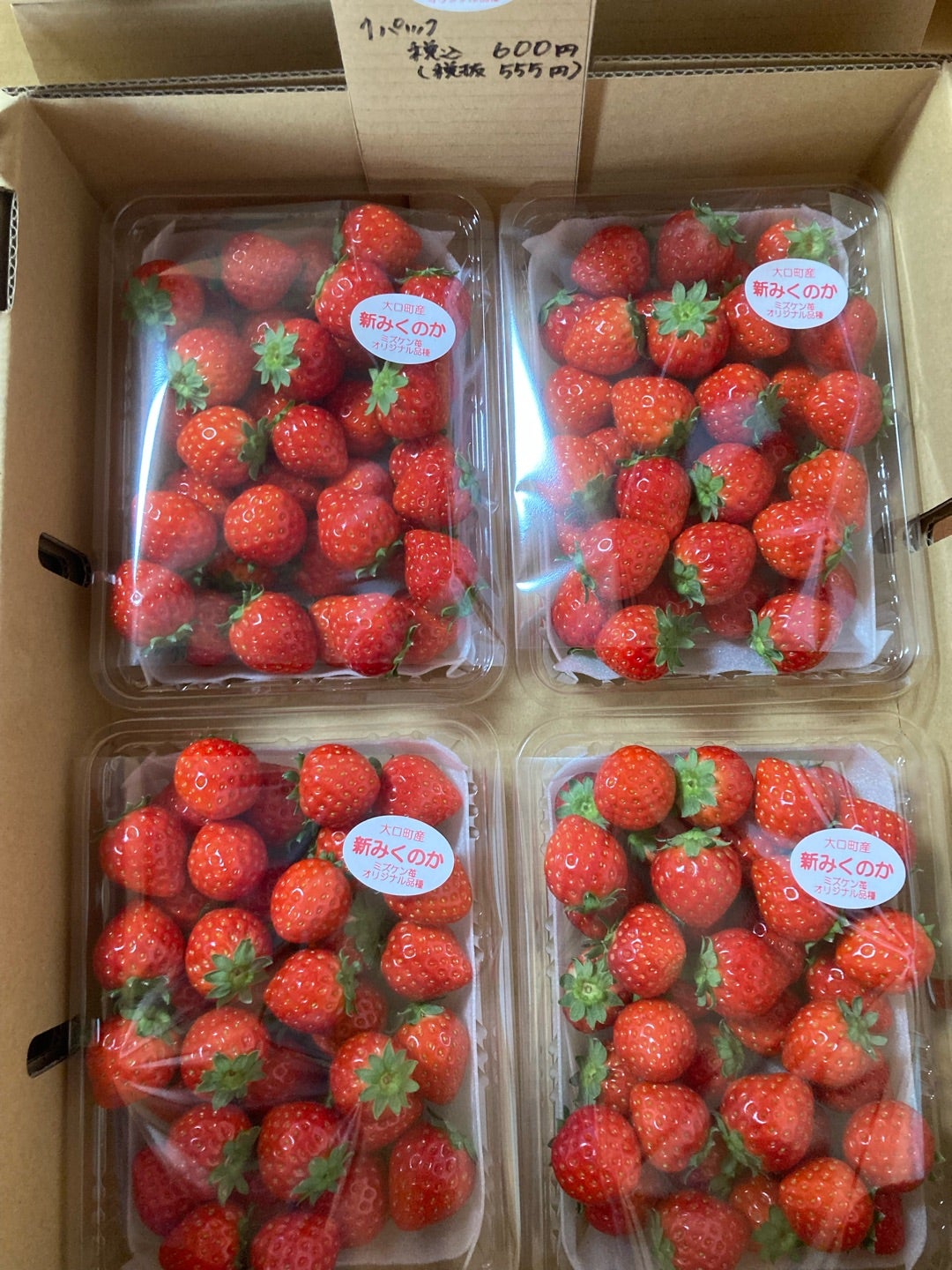 本日1月7日（火）の販売について | ミズケン苺のブログ