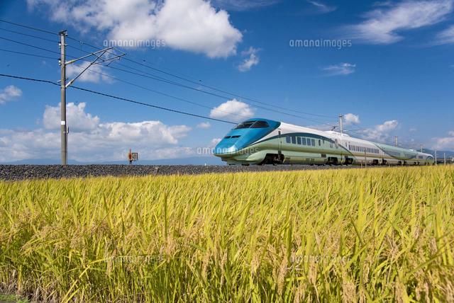 山形新幹線とれいゆつばさ[10729005380]の写真・イラスト素材｜アマナ