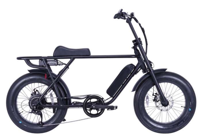 バギーみたいなタイヤの太さだけど、電動アシスト自転車なんです