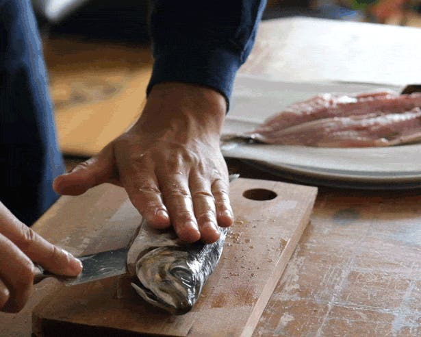 あらゆる食材を「干す」楽しみを。お家で簡単に干物ができるフード