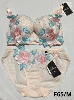 新品 ワコール サルート 店舗限定 29G ブラジャー F65 ショーツM