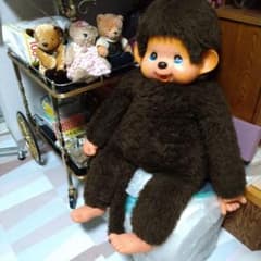 m16650662807_1.jpg?1752316127