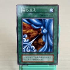 m25174195948_1.jpg?1718404635