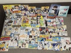 ベネッセ 進研ゼミ チャレンジ ダイレクトメール DM 漫画 中学生版