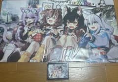 m39748239307_1.jpg?1745426472