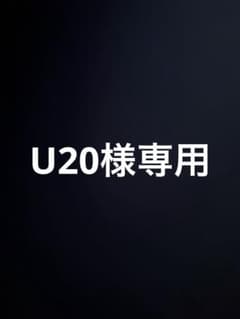 USA製 Carhartt デトロイトジャケット J97 PTL M 00s初期 - メルカリ