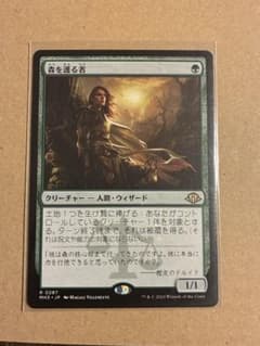 森を護る者/Sylvan Safekeeper - メルカリ