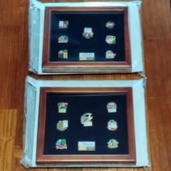 愛•地球博 愛知万博 カウントダウンピンバッジ 額入り 2種類まとめて