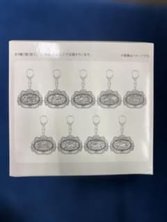 ポケパークカントー限定 イーブイズ アクリルキーホルダーフルコンプ