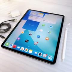 iPadPro3 12.9【256GB】SIMフリーとアップルペンシル2のセット - メルカリ