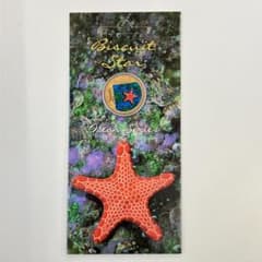 王立オーストラリア造幣局 オーシャンシリーズ ビスケットヒトデ 1ドル