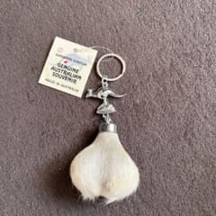 カンガルーのキンタマ オーストラリアのお土産 - メルカリ