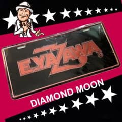 矢沢永吉☆E.YAZAWA☆ナンバープレート☆BLACK/RED☆未使用 - メルカリ