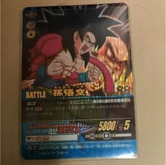 m58350289906_1.jpg?1529144367