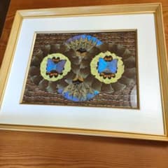 モルフォ蝶 蝶画 羽根細工 蝶絵画額 - メルカリ