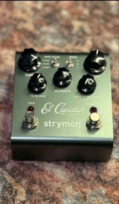 Strymon El Capistan V1 最終値下 6/30までの出品 - メルカリ