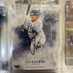 m50066569410_1.jpg?1702738683