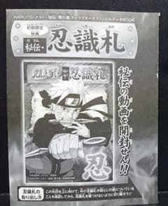 m50830842467_1.jpg?1731252752