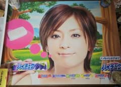 m66233269804_1.jpg?1747209484