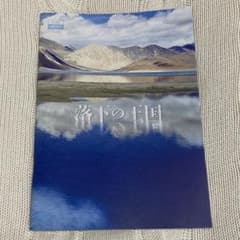 落下の王国 パンフレット 2008年 初公開時 旧版 映画 レア - メルカリ