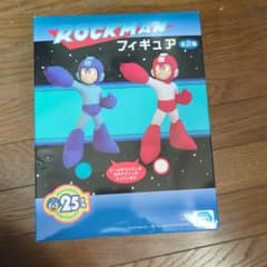 m66893727289_1.jpg?1735969276