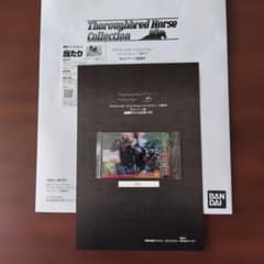 サラブレッドホースコレクション 当たり 直筆サイン入りカード クロノ