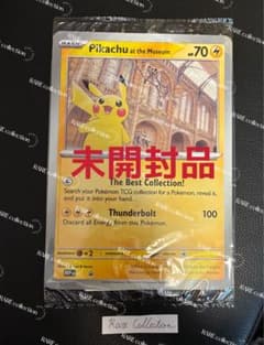 Pikachu at the Museum ピカチュウ ロンドン自然史博物館33 - メルカリ