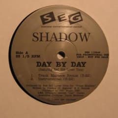 DAY BY DAY / THE ABYSS SHADOW レコード - メルカリ