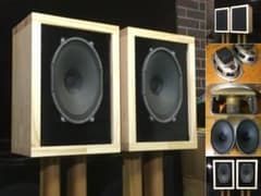 西独Isophon レア ビンテージ大型フルレンジP1625 システム ペア