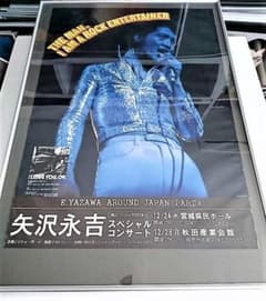 m95137424879_1.jpg?1702972608