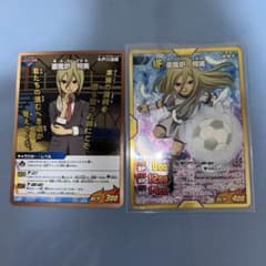 m96186099063_1.jpg?1737840578