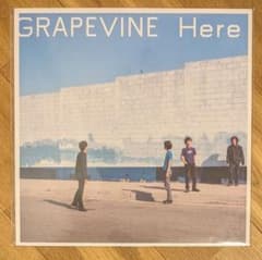 GRAPEVINE - Here グレイプバイン レコード LP - メルカリ