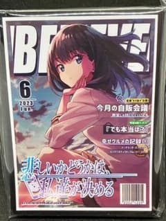 宝多六花 カードスリーブ SSSS.GRIDMAN グリッドマン - メルカリ